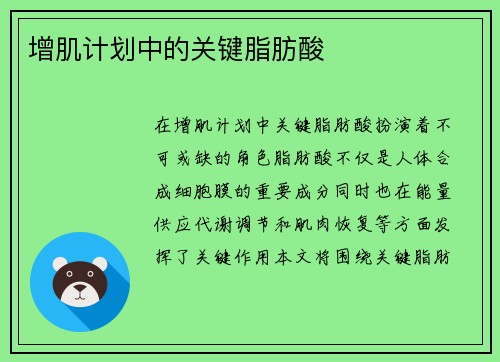 增肌计划中的关键脂肪酸